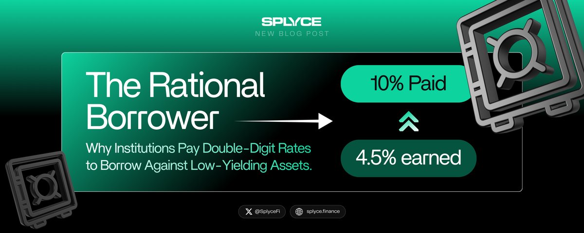 The Rational Borrower